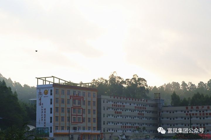 廣西午夜精品福利農牧集團