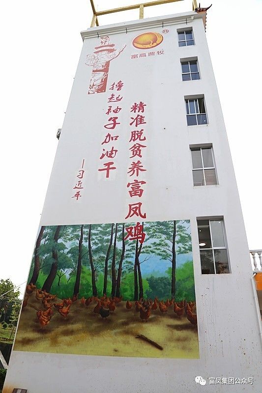 廣西午夜精品福利農牧集團