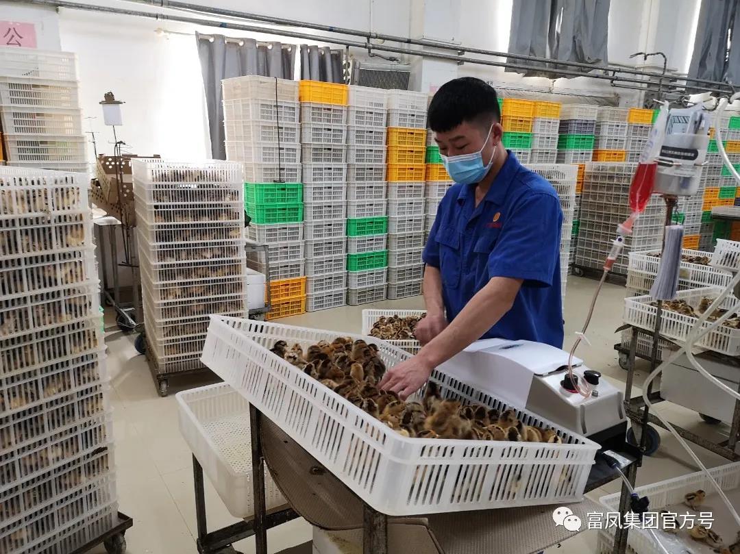 廣西午夜精品福利農牧集團有限公司
