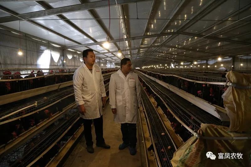廣西午夜精品福利農牧集團